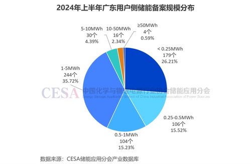 储能爆发年 上半年备案项目超去年全年，自有资金投资如何搅动4000亿市场？